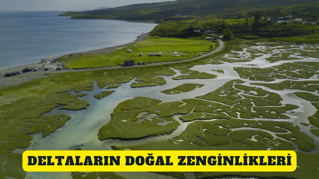 Deltaların Doğal Zenginlikleri