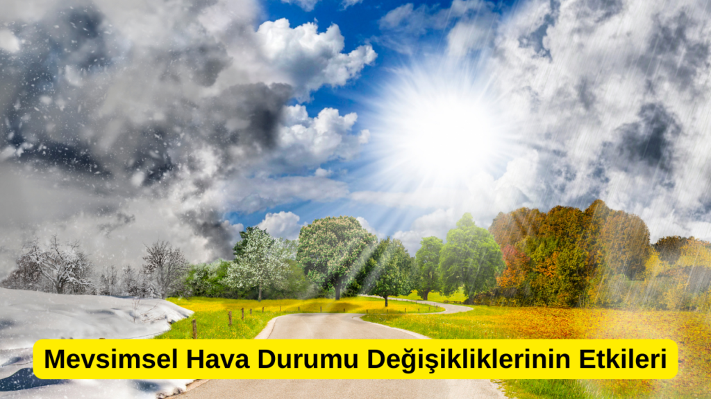 Mevsimsel Hava Durumu Değişikliklerinin Etkileri