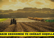 Tarım Ekonomisi ve Coğrafi Koşullar
